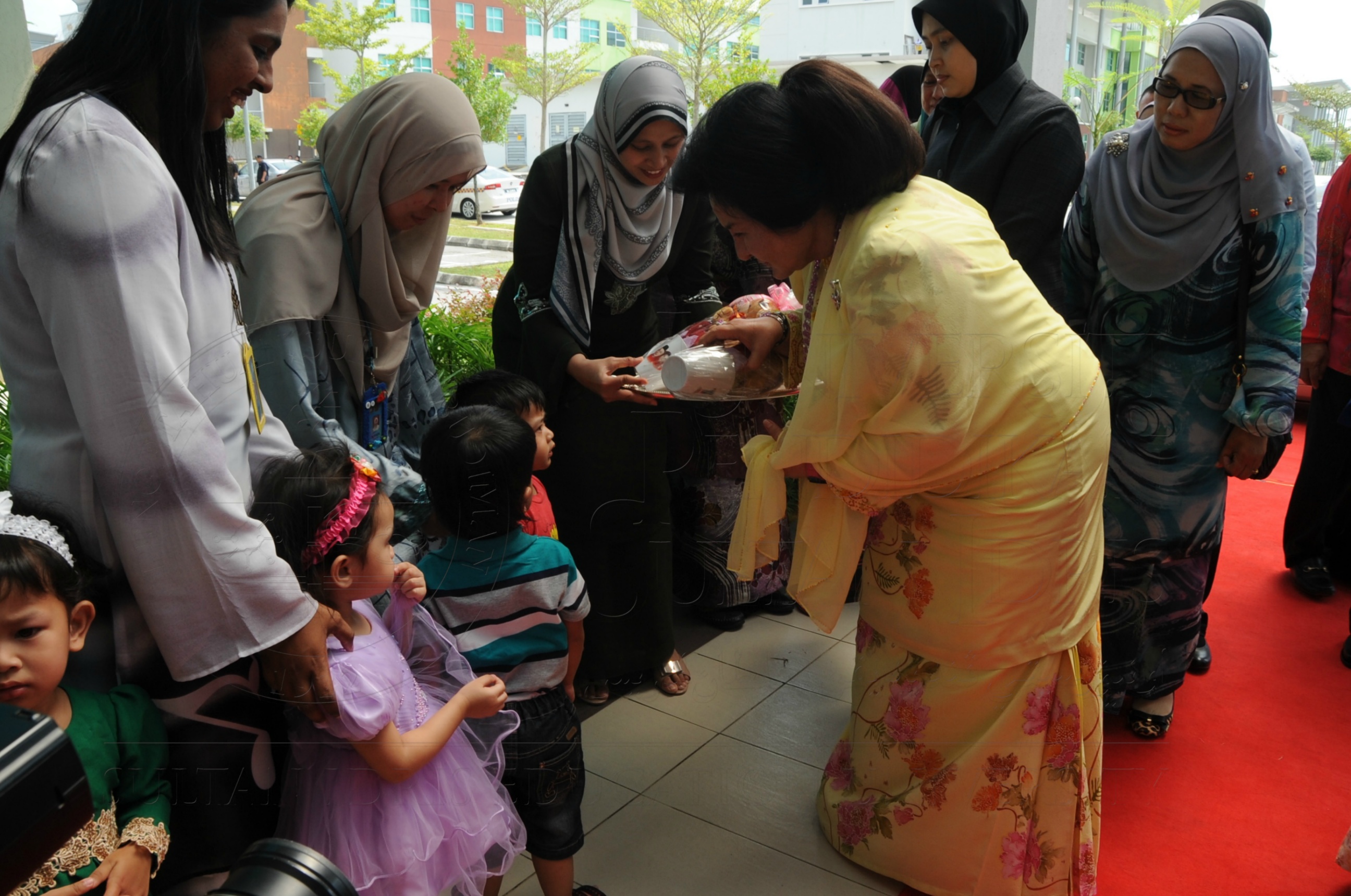 PRO16 32 NCDC HAS 3371